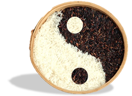 Dietetique du Yin Yang