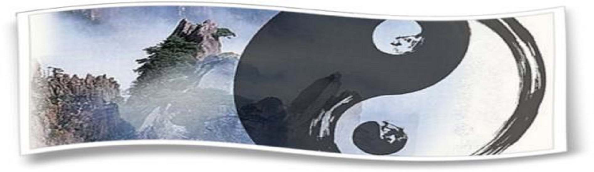 Stage d’été de Qi Gong – du 02 Juillet au 06 Juillet 2025.